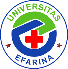 Universitas Efarina.png